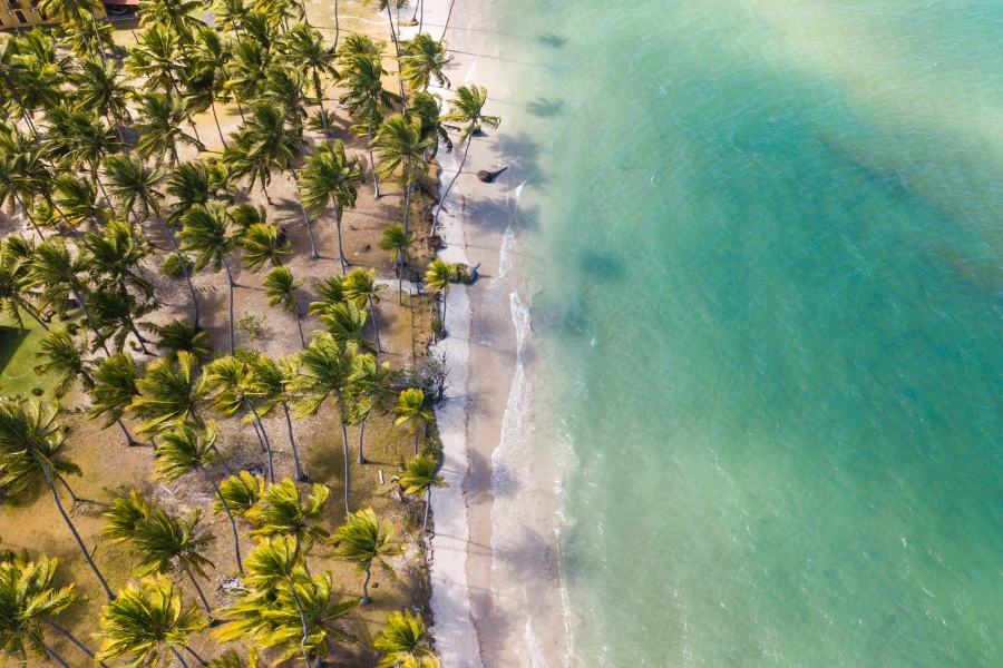 Porto da galinhas - Recife - Pernambuco - Brasil